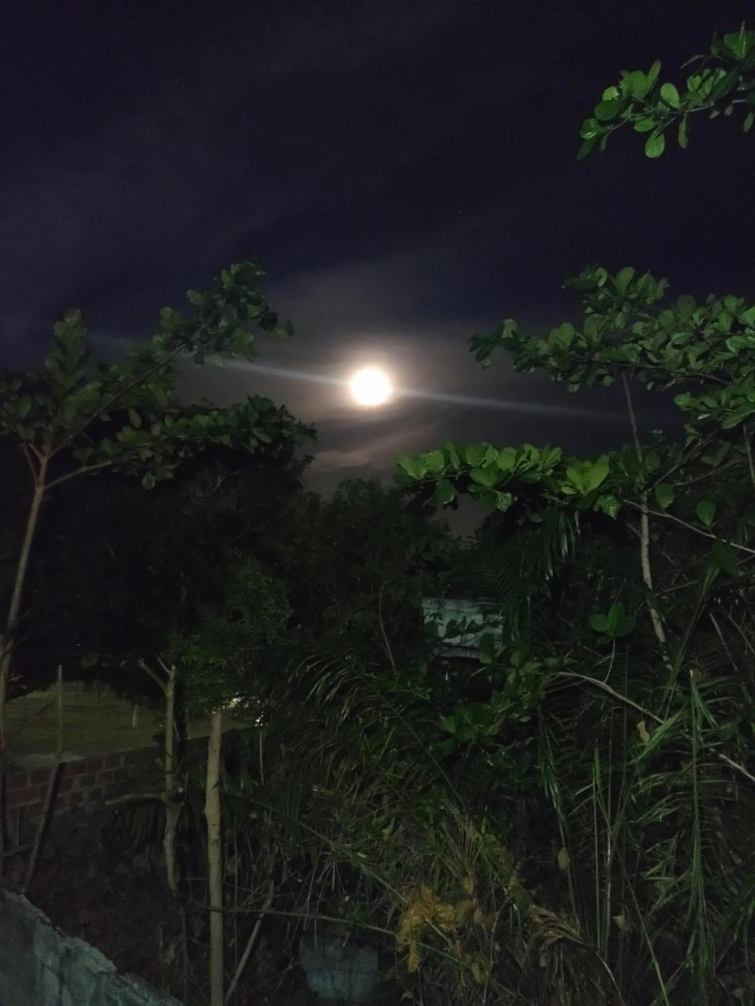 Casa Aroeira Pousada Ilhéus Zewnętrze zdjęcie